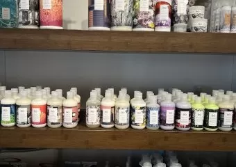 Curious Salons | Aspen Landing