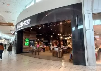 Lush Cosmetics Chinook