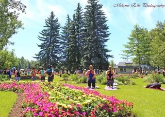 Outdoor Yoga Calgary