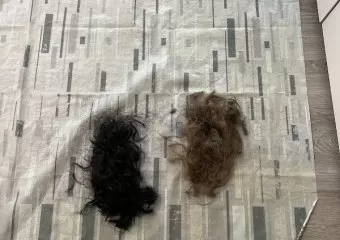 Patel Cuts