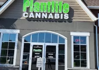 Plantlife Cannabis Mahogany Calgary
