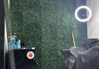 ShakebBlends