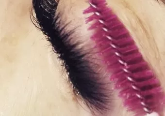 XoXo Lashes