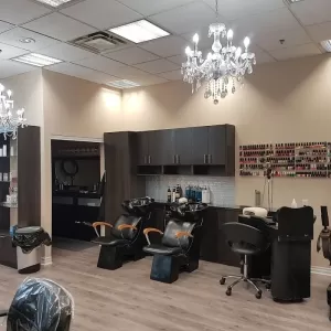 Beauty Nest Hair Care & Salon