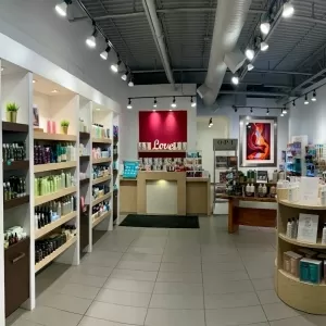 Curious Salons