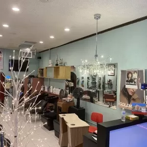 Hair Passion