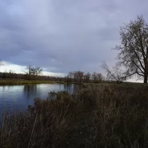 Mallard Point - Fish Creek Provincial Park