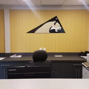 Panther Sports Medicine - Deer Valley