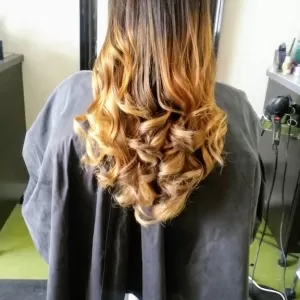 Shear Essence Hair