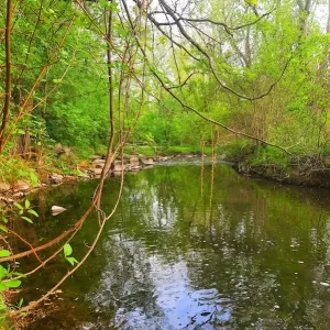 South Fletcher's Creek Park