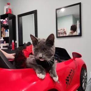 Super Ma'am Home Hair Salon