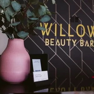 Willow Beauty Bar Inc