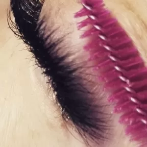 XoXo Lashes