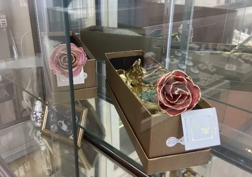 Gallery Image 1