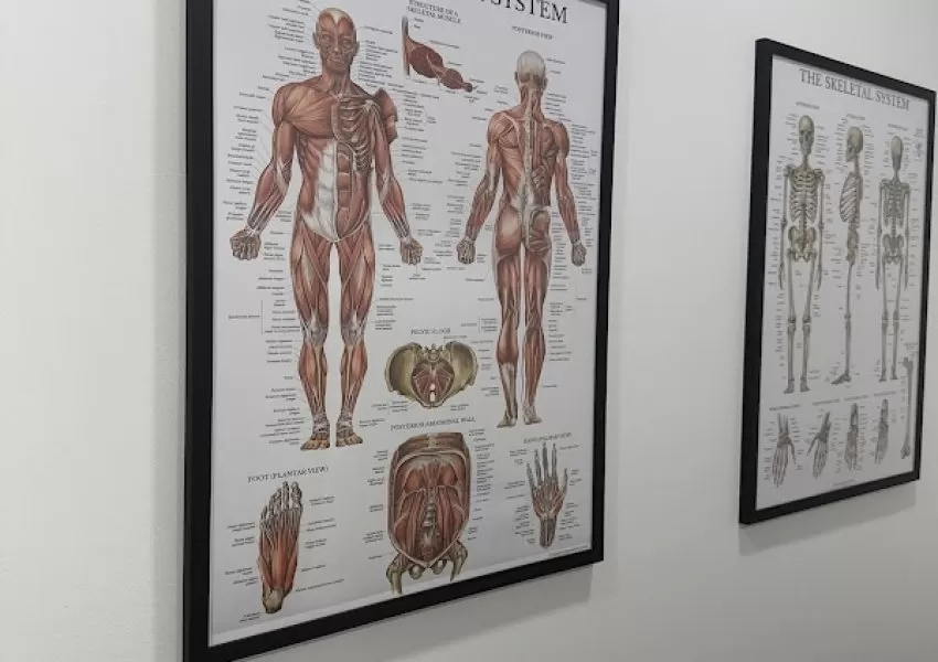 Gallery Image 2