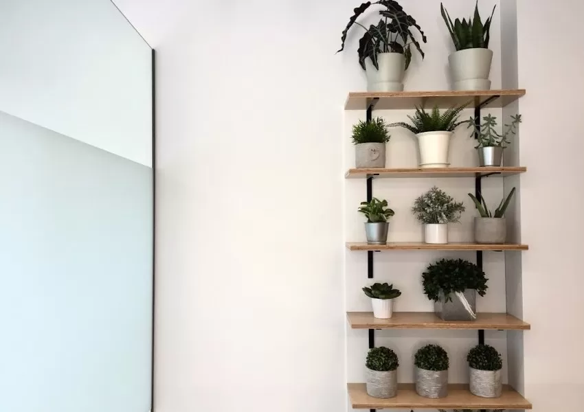 Gallery Image 2