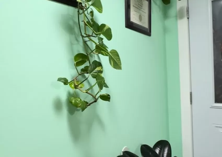 Gallery Image 2