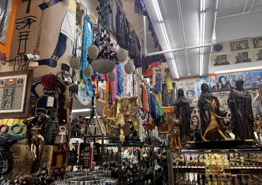 Gallery Image 2