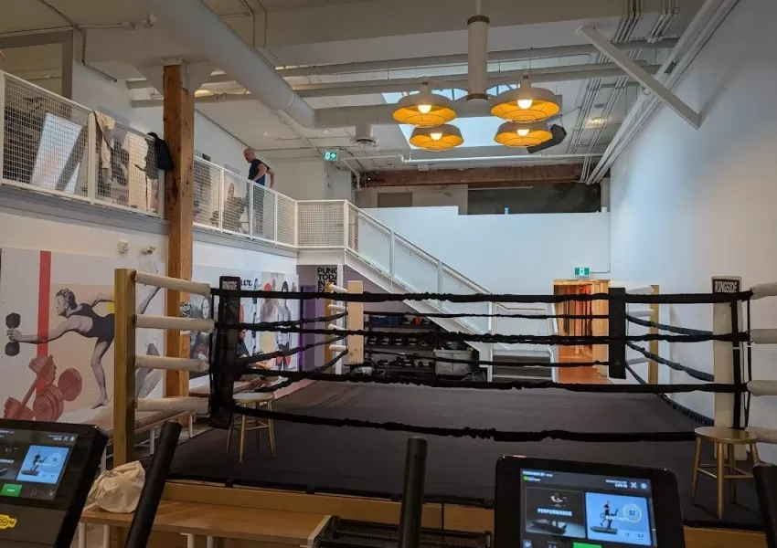 Gallery Image 2