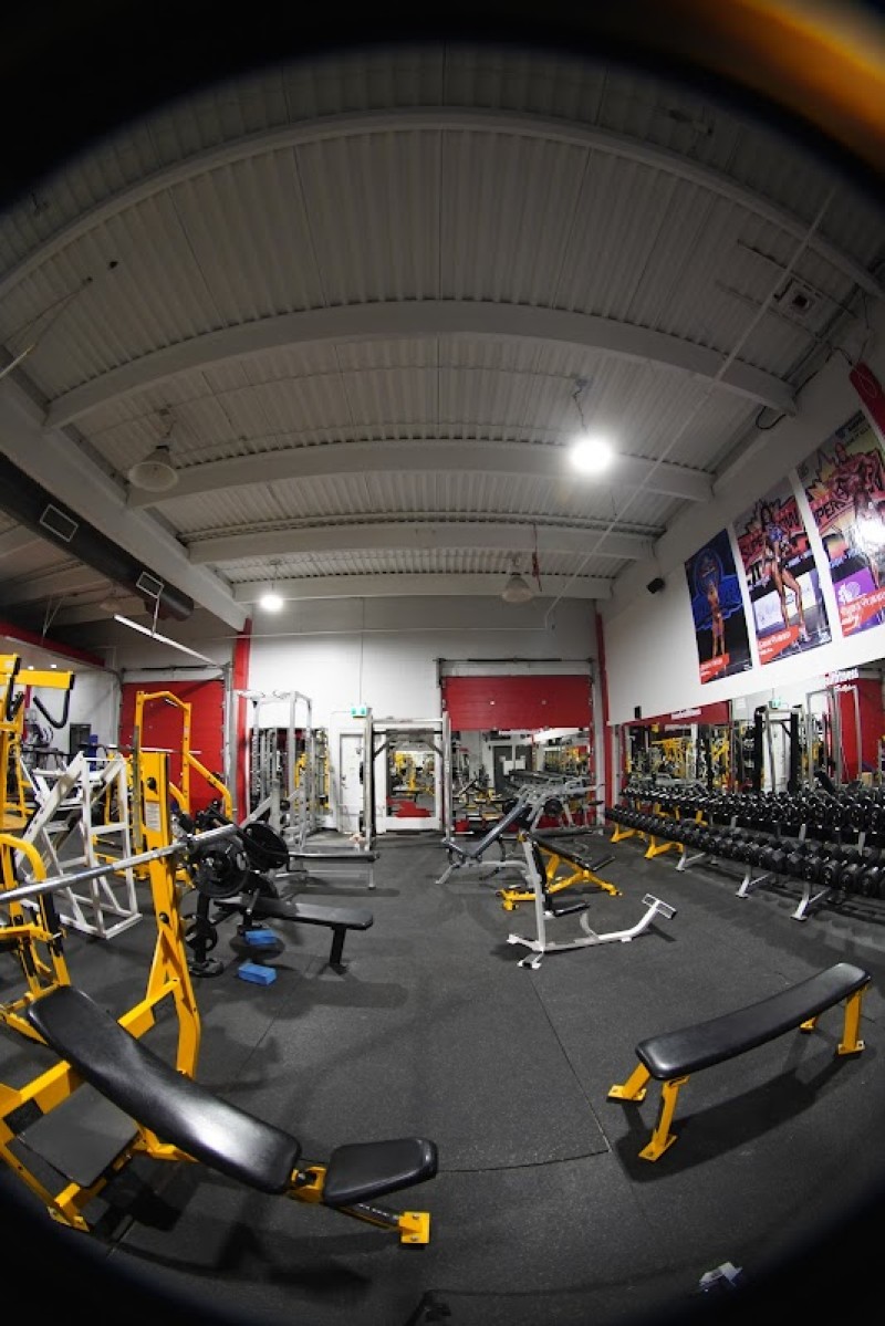 Gallery Image 2